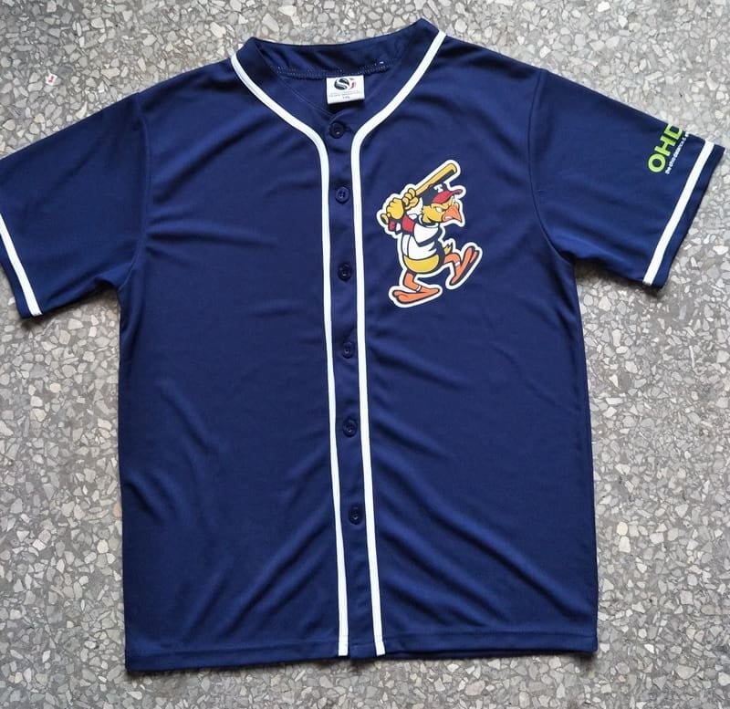 Toledo mud hens jersey